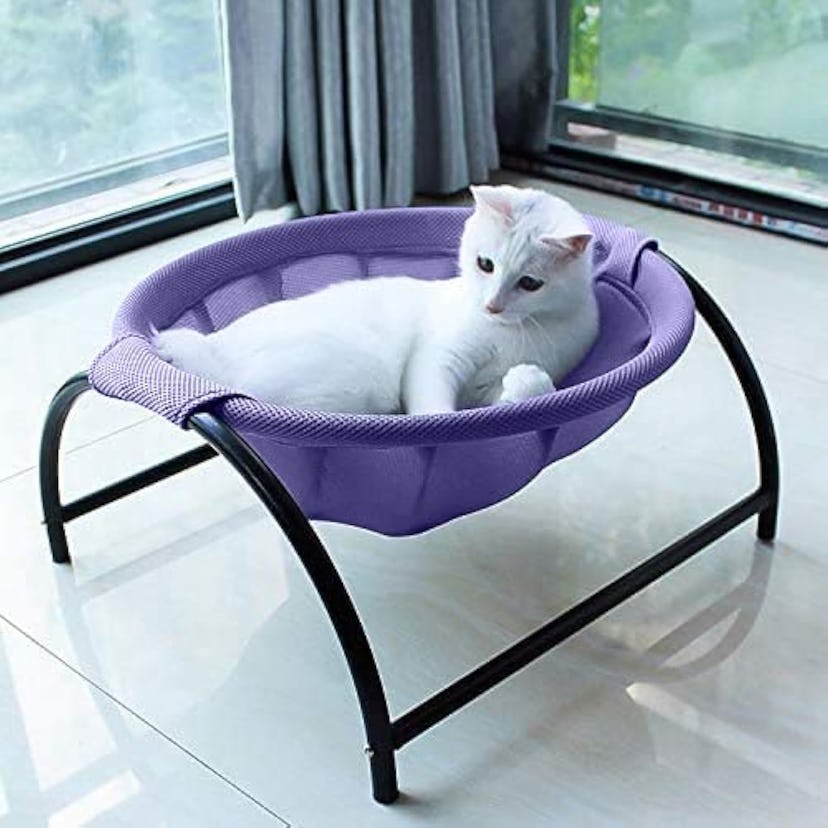 JUNSPOW Cat Hammock Bed