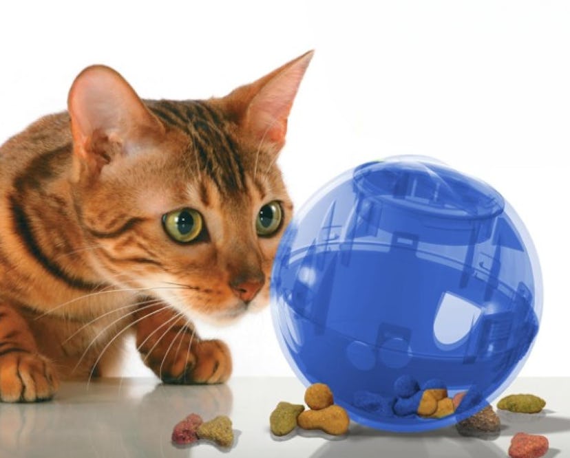PetSafe Slimcat Slow Feeder Ball