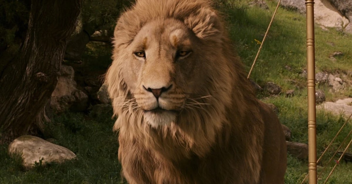 Netflix's Next Big Fantasy Franchise Just Added A Surprising Star