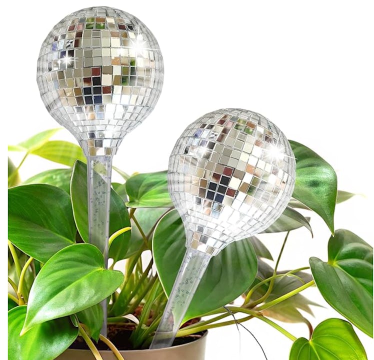 DISCGROW Self Watering Globe (2-Pack)