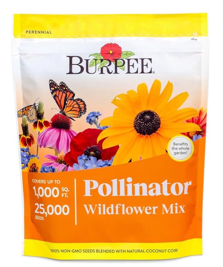 Burpee Pollinator Mix