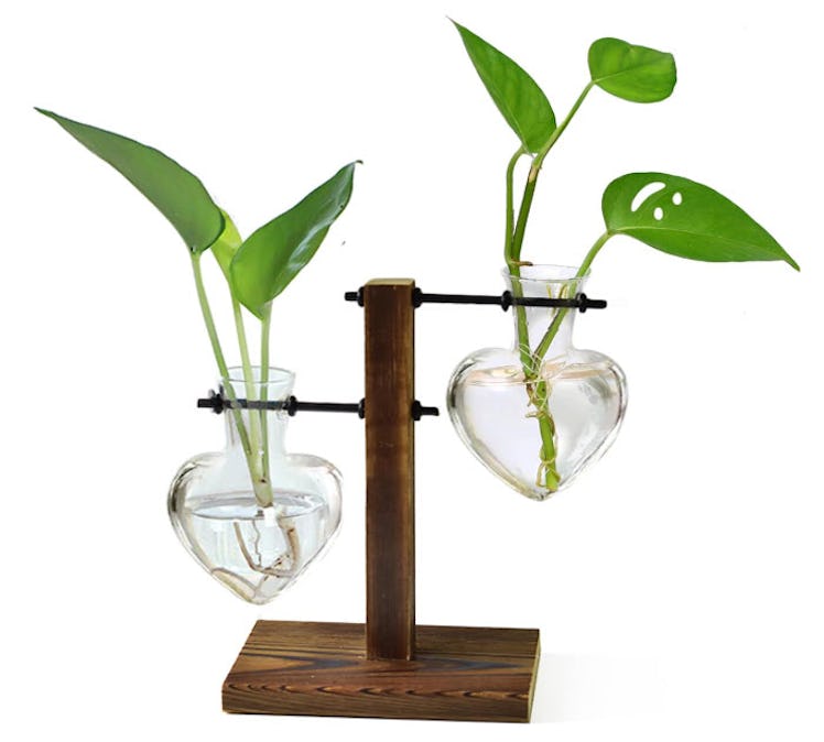 XXXFLOWER Plant Terrarium With Love Bulbs