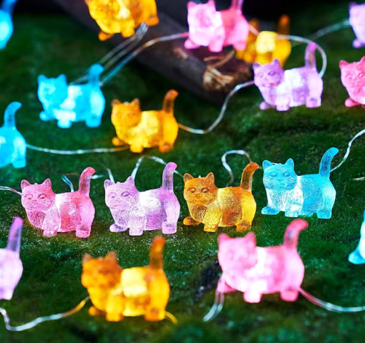 JASHIKA Indoor String Lights