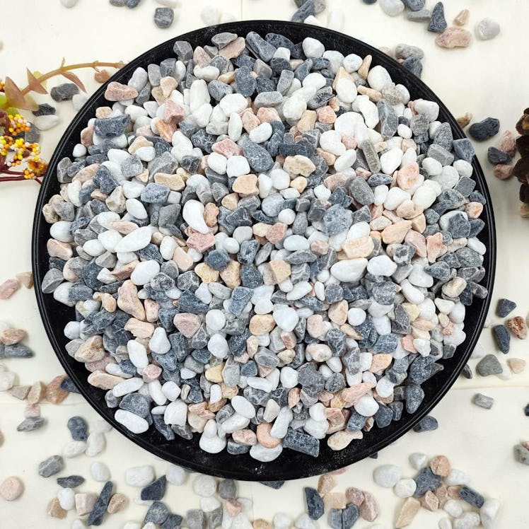 YISZMSucculent & Cactus Gravel