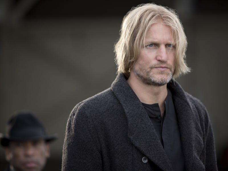 Woody Harrelson as Haymitch Abernathy in The Hunger Games: Catching Fire
