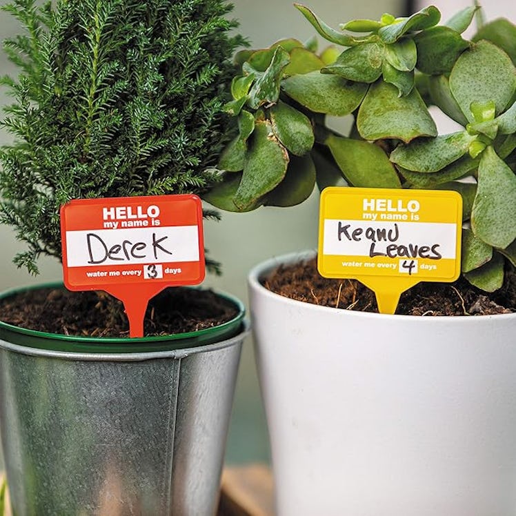 Bubblegum Plant Name Badges (12-Pack)