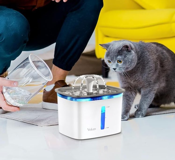 Veken Pet Water Fountain
