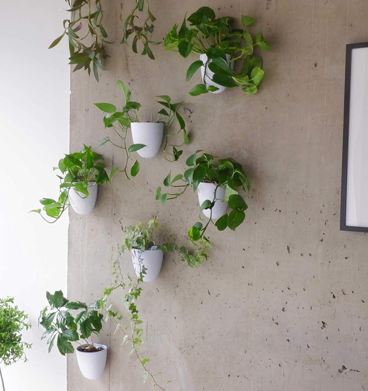 Make Good Self-Watering Wall Planters (3-Pack)