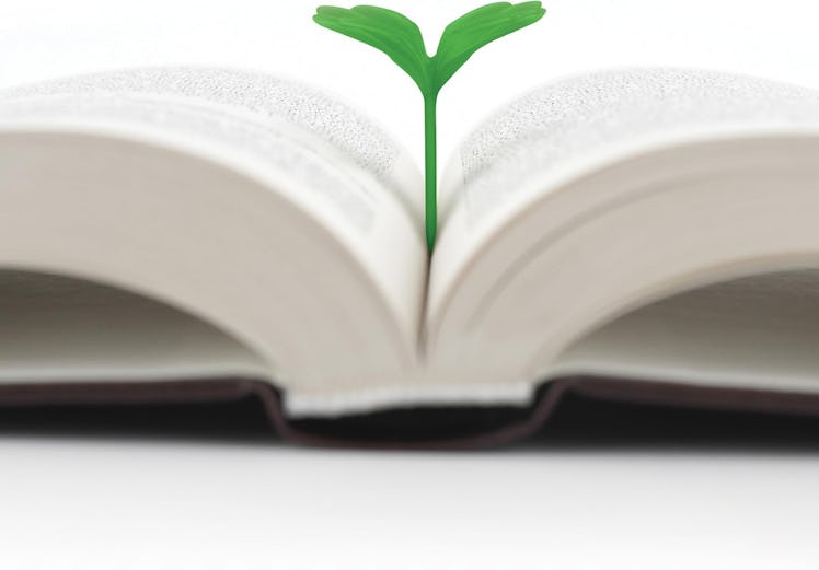 Genuine Fred Lucky Sprout Clover Bookmarks (Set Of 4)