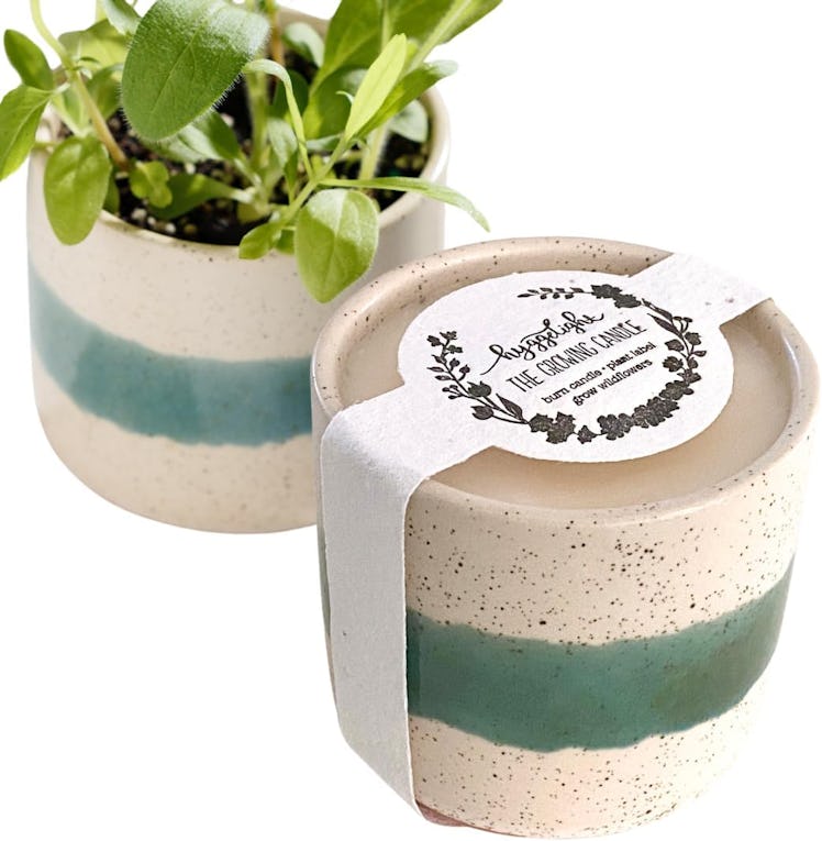 Hyggelight The Growing Candle Candle & Plant Holder