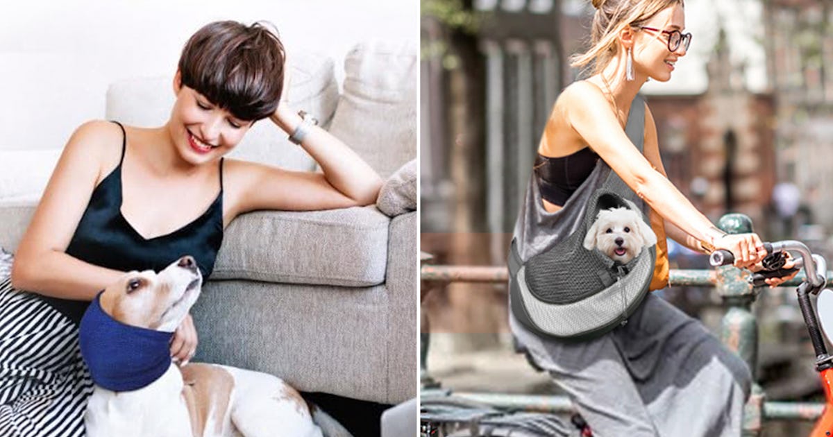 30 Weird Things That Make Your Dog Way More Chill