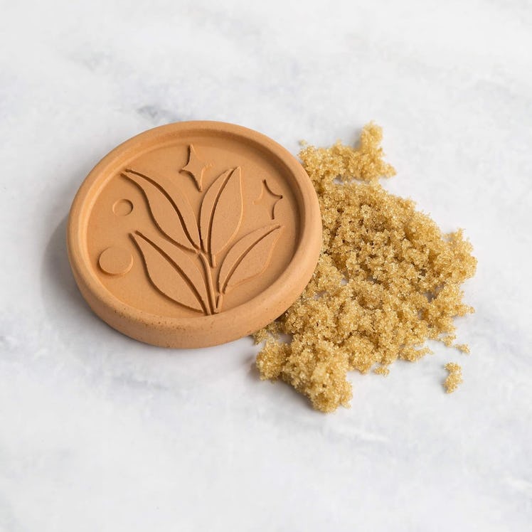 Goodful Brown Sugar Saver (2-Pack)