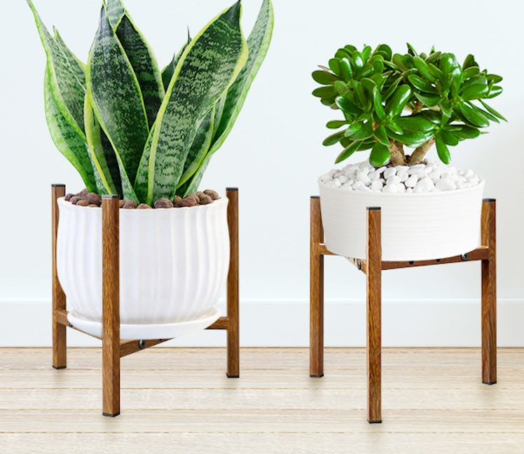 Airpark Adjustable Plant Stand