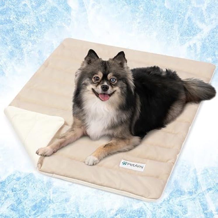 PetAmi Cooling Mat