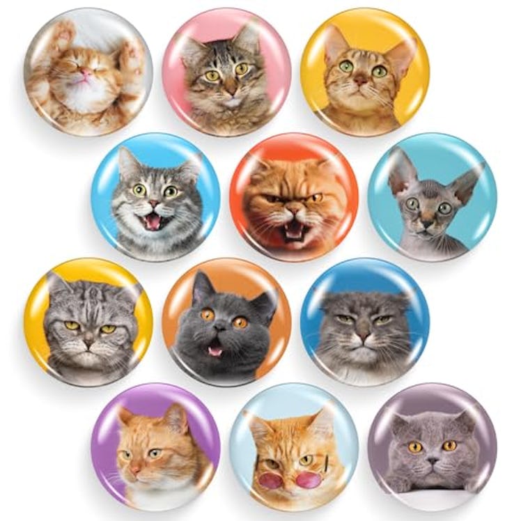 X-bet MAGNET Cats Glass Refrigerator Magnets