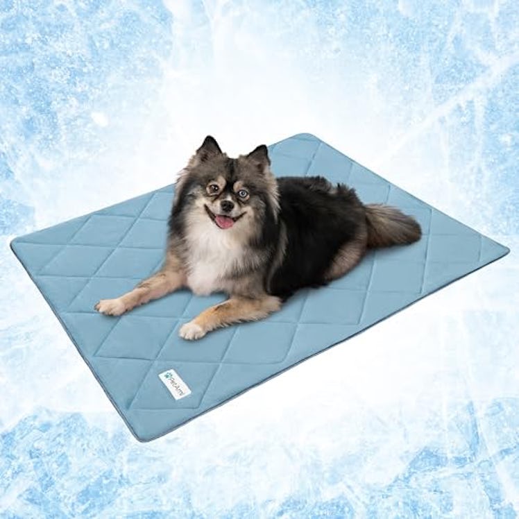 PetAmi Premium Cooling Dog Blanket
