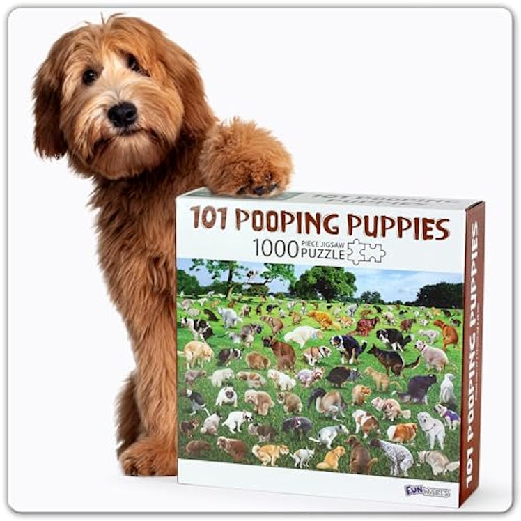 Funwares 101 Puppies 1000-Piece Puzzle