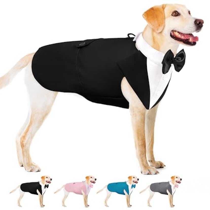 AOFITEE Dog Tuxedo Suit