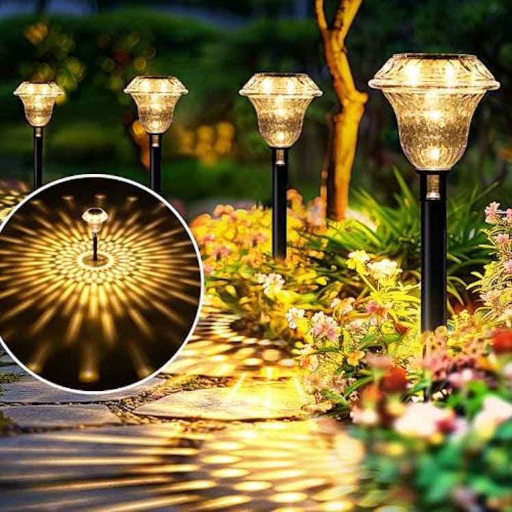 SOLPEX Solar Pathway Lights (6-Pack)