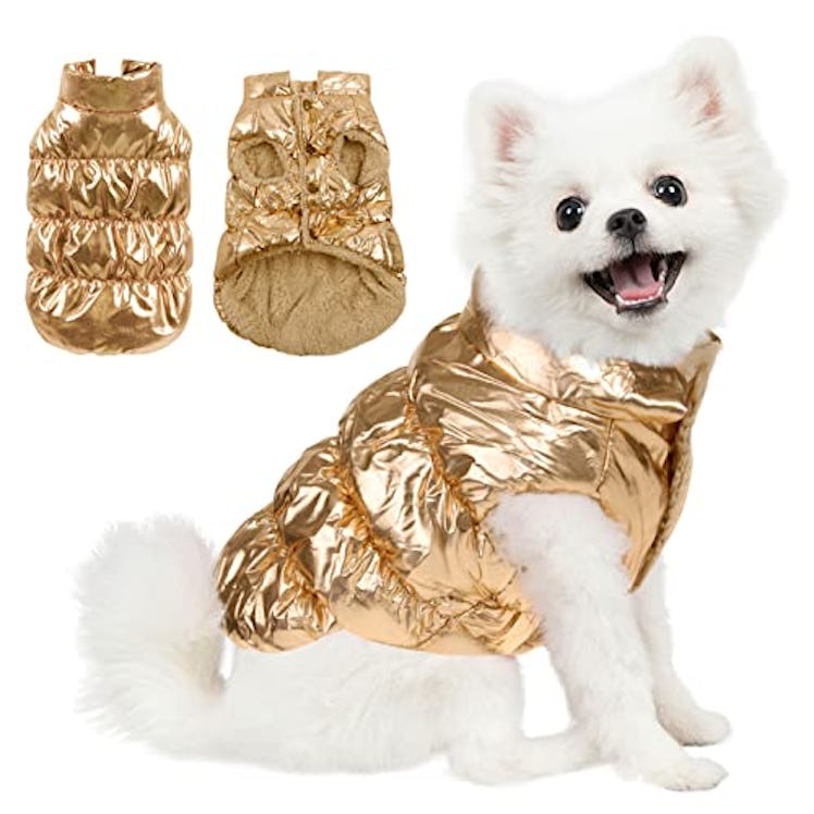 AOFITEE Dog Winter Coat
