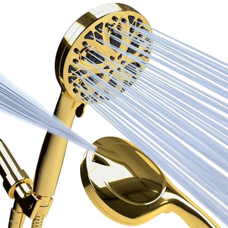 SparkPod Handheld Showerhead With Hose