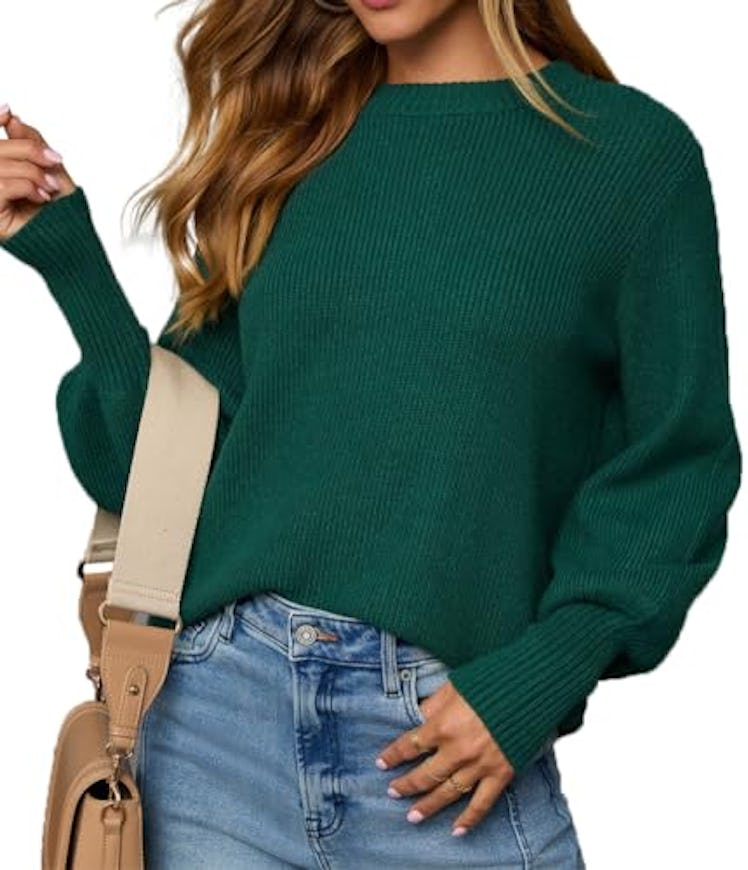 Lacozy Crewneck Long Sleeve Sweater