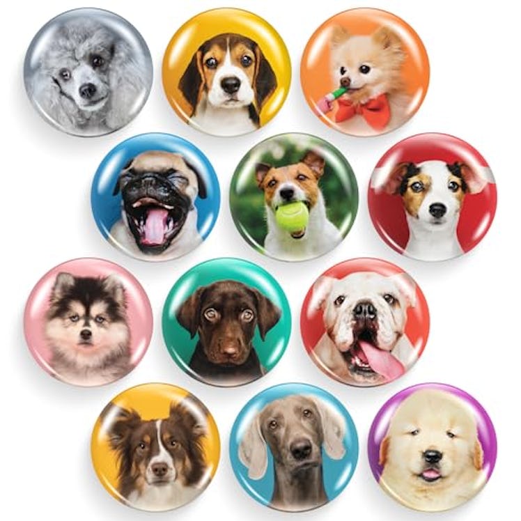 X-bet MAGNET Glass Refrigerator Magnets