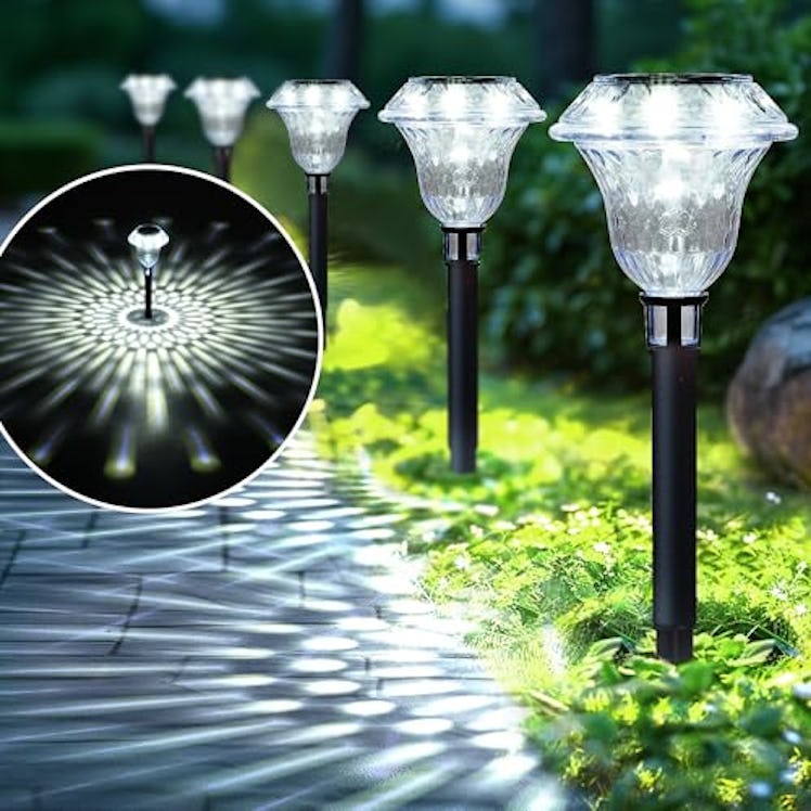 SOLPEX Solar Pathway Lights (6-Pack)