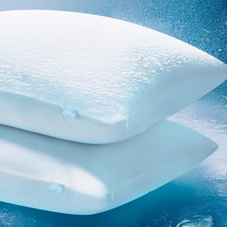 Niagara Sleep Solution Cooling Pillow Cases (2-Pack)