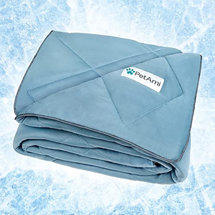 PetAmi Premium Cooling Dog Blanket