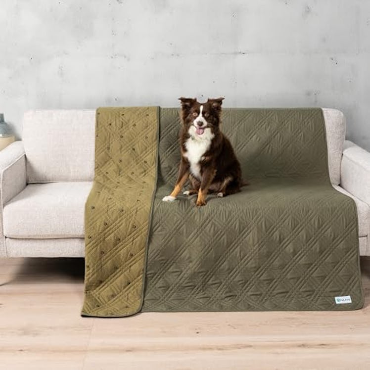 PetAmi Waterproof Pet Blanket