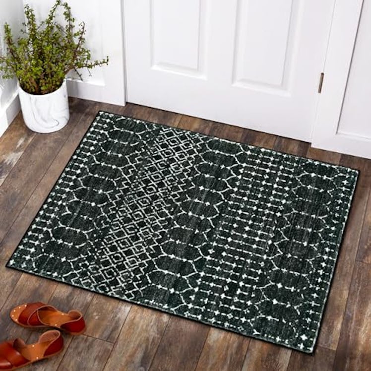 Lahome Moroccan Entry Rug