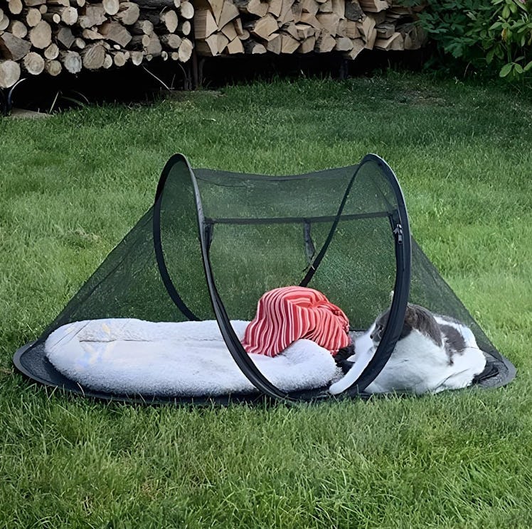Rest-Eazzzy Outdoor Cat Enclosure