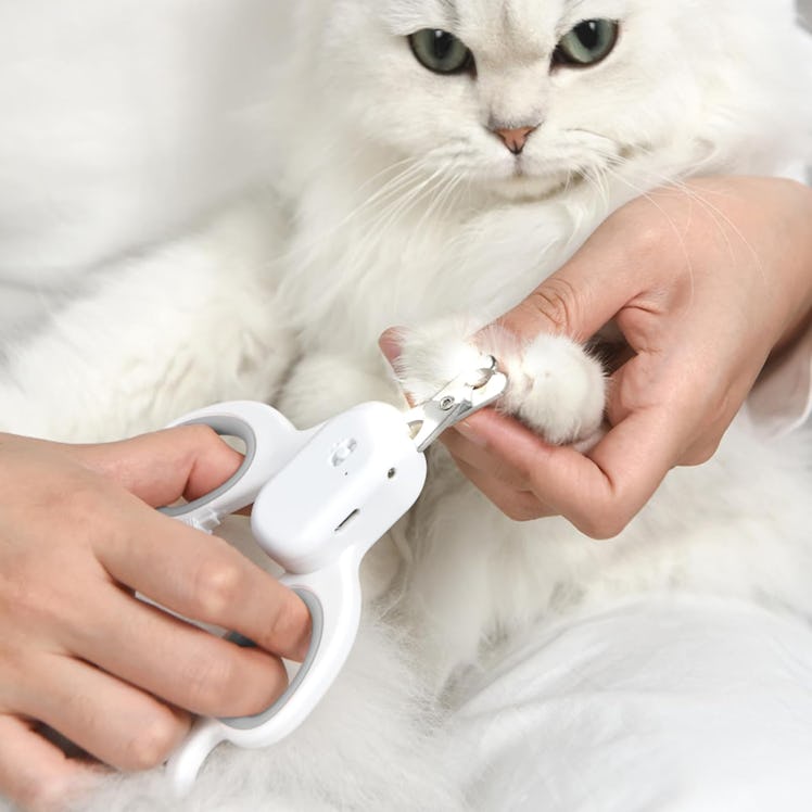PAKEWAY Light-Up Cat Claw Trimmer