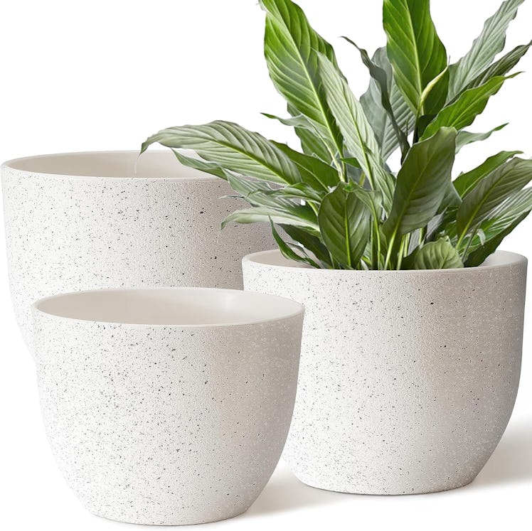 Giraffe Creation Plant Pots (3-Pack)