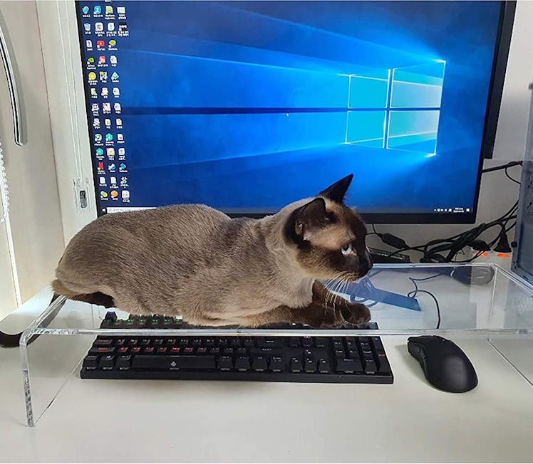VAOLLO Acrylic Keyboard Protector