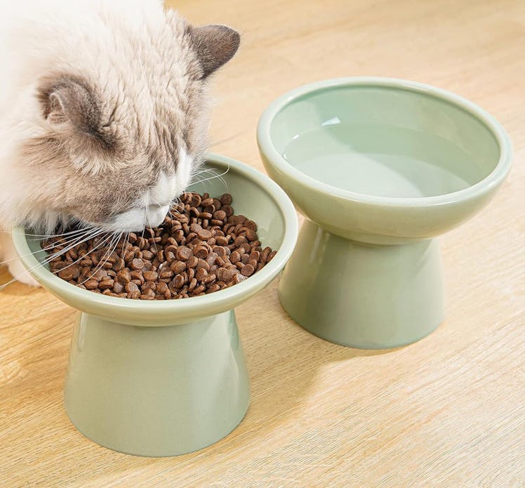 CEEFU Elevated Ceramic Cat Bowls (2-Pack)