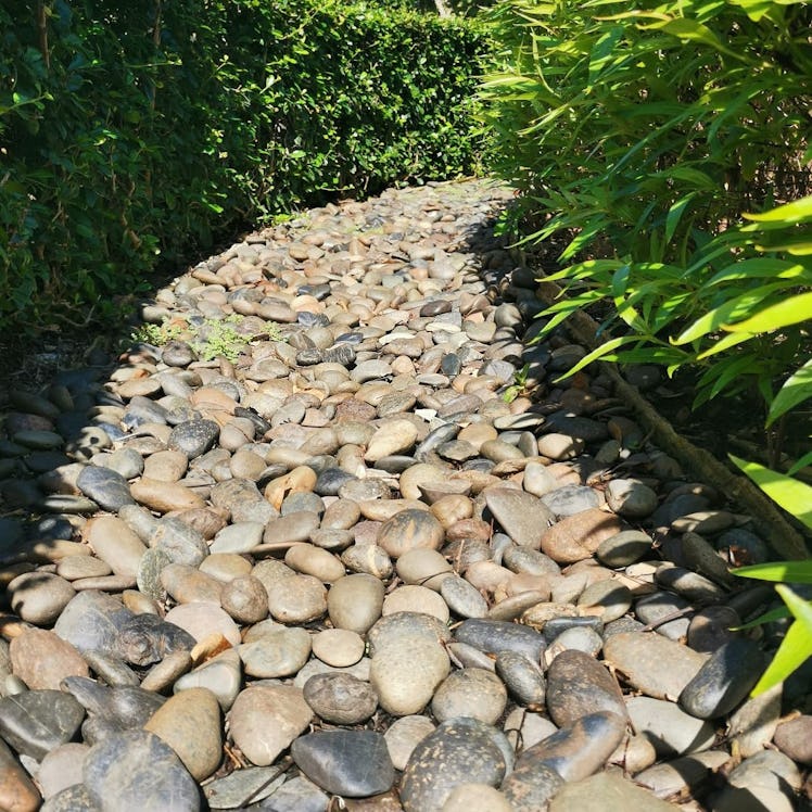 YISZM Natural River Rocks (20 lbs)