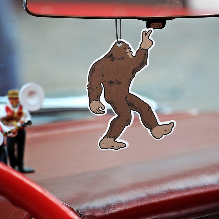 Frienda Funny Car Fresheners (5-Pieces)