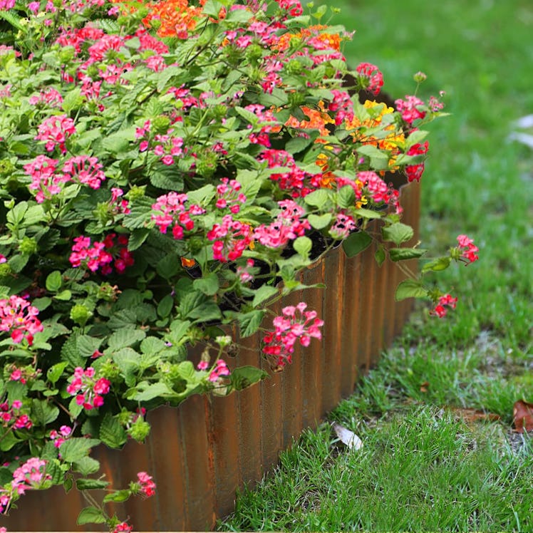 Worth Garden Pre-Rusted Corrugated Edging (20 Feet)