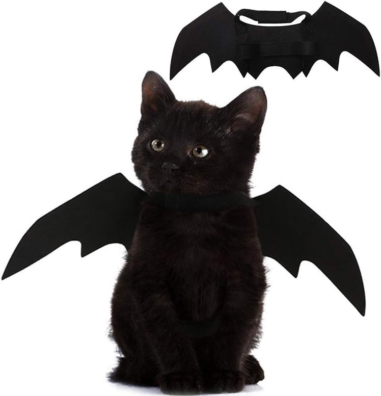 Puoyis Cat Bat Wings