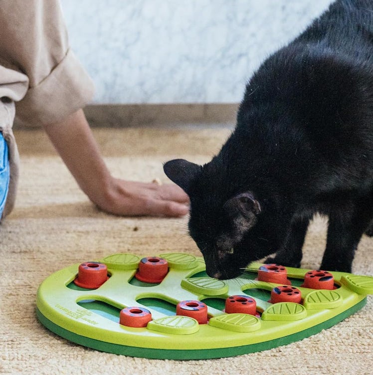 Catstages Interactive Treat Puzzle