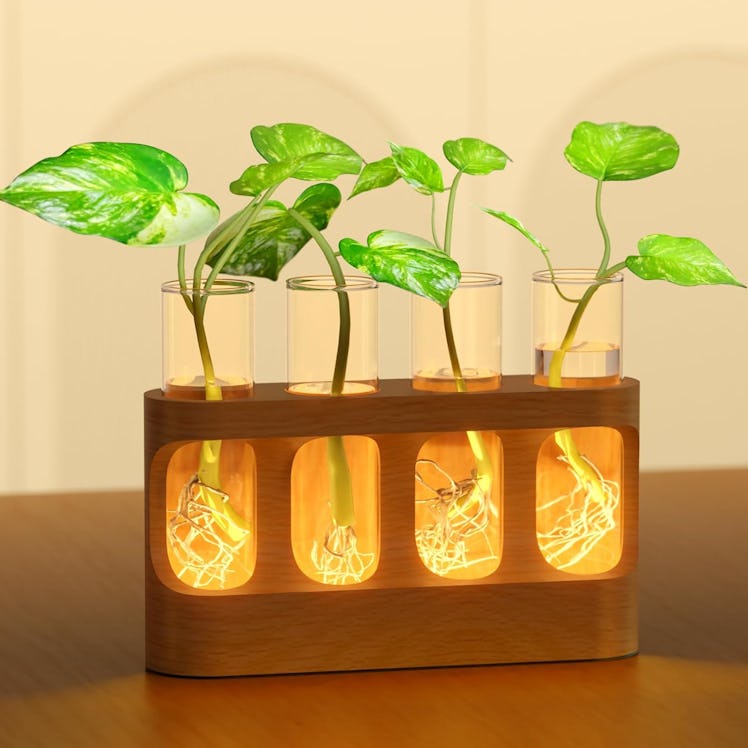 Giunn Lit Plant Propagation Station