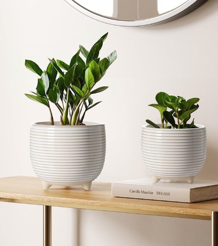 LE TAUCI Ceramic Plant Pots (Set of 2)