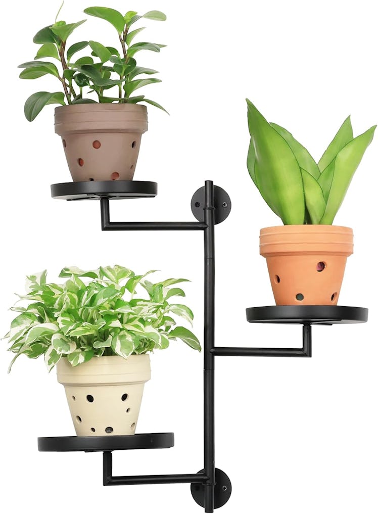 YFFSRJDJ Rotating Wall Plant Shelves