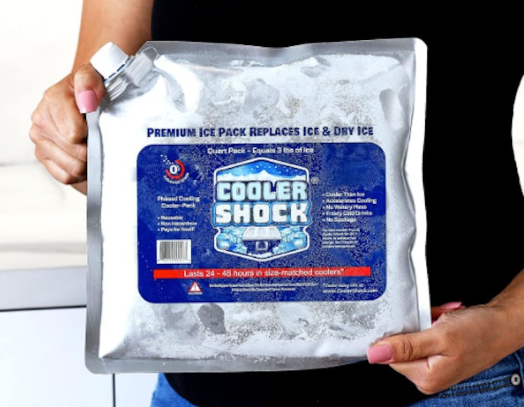 Cooler Shock Freeze Packs (4-Pack)