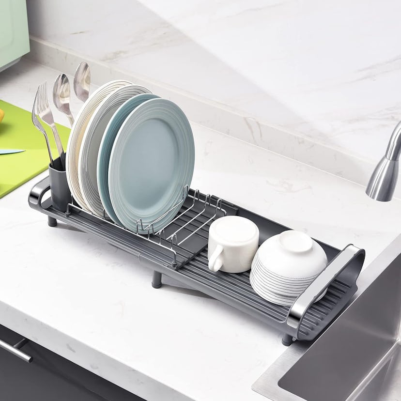 TOOLF Expandable Dish Rack