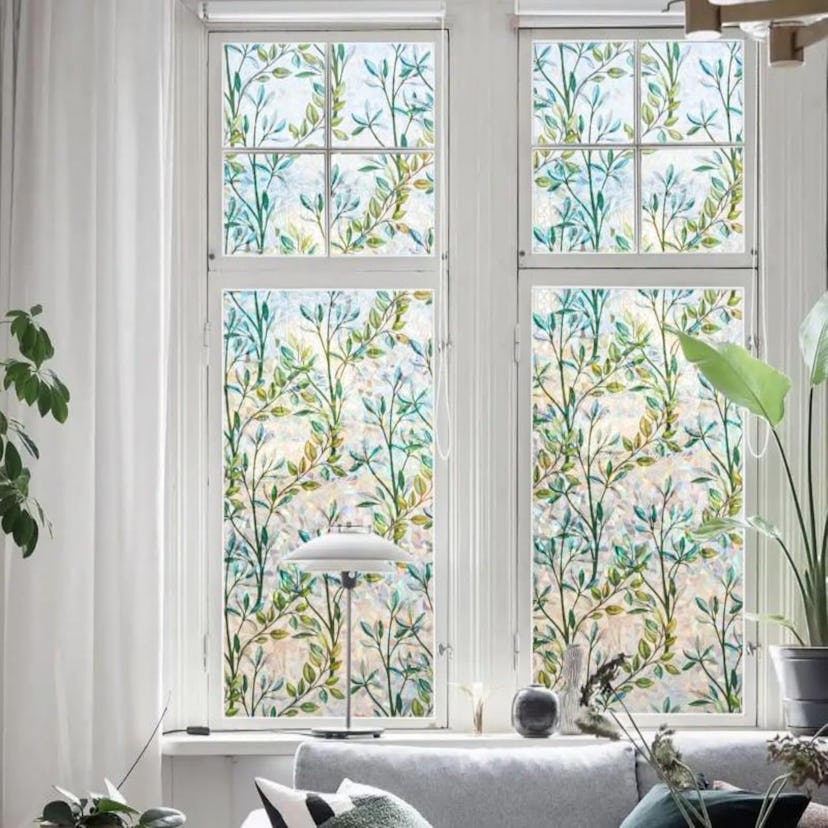 Finnez Window Privacy Film