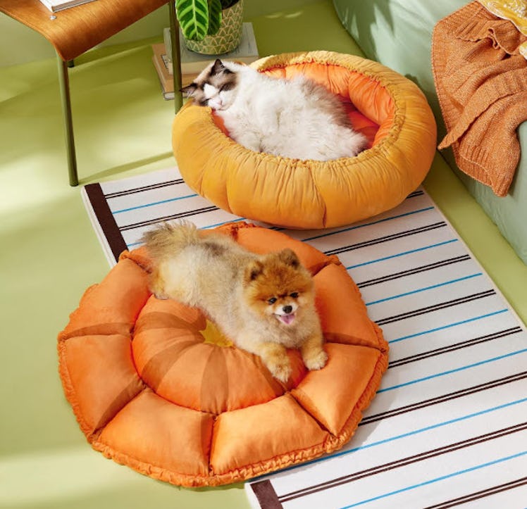 Le Sure Washable Small Dog Bed