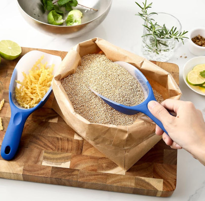 Spring Chef Magnetic Ice Scoopers (2-Pack)